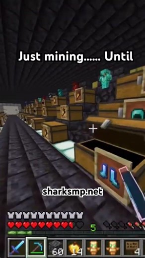 #sharksmp #base #wow #subscribe #minecraft