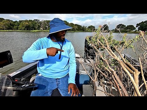 How To Build The BEST Crappie Fishing Brushpiles