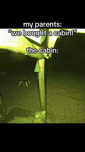 Encountering a Mountain Lion at the Cabin