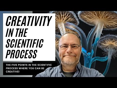 Creativity in the scientific process: the 5 points where you can be creative. #phd #creativity