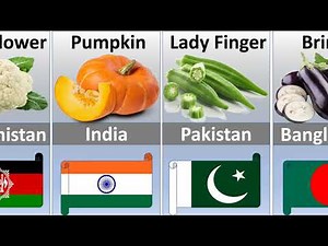 National Vegetable From different Countries in the World