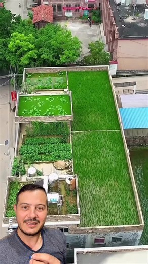 Eng Civil Adriano Vanjura | Engenheiro | Engenharia on Instagram: "Na China plantações em cima do telhado das casas"