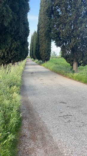 7.3K views · 73 reactions | Belissimo Belvedere! The Fiat 500C Topolino Belvedere is nicknamed "Little Mouse", a reference to its Mickey Mouse appearance. #fiat #fiat500c #500ctopolino #bringatrailer | Bring a Trailer | Facebook