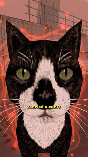 The Cat That Sank 3 Ships