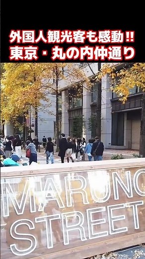 😮こんなステキな通りがあったのね！！外国人観光客も東京・丸の内仲通りの美しさに感動！丸の内仲通りの外国人観光客 #外国人観光客 #外国人の反応 #東京 #東京駅