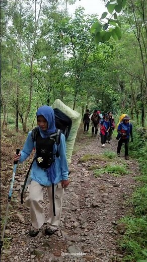Epic Tropical Hike Through Untouched Jungle Paradise | Nature Adventure in 4K