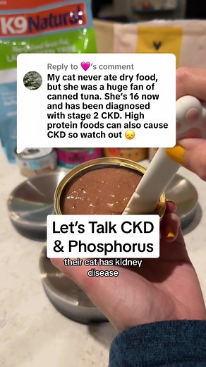 Understanding CKD and Phosphorus in Cat Nutrition
