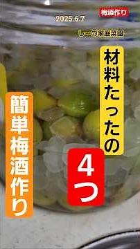 たった4つあれば梅酒はできる！簡単梅酒作り♪《しーの家庭菜園＊梅仕事》
