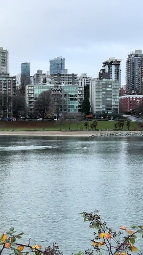 Spot Orcas on Your Sunday Walk in Vancouver