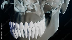 Bad molar tooth in skeleton on black background. 3D render concept animation of dentistry stomatology treatment toothache surgery cavity protection recovery