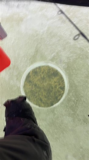 Ice Fishing for Perch and Walleye in Michigan's Saginaw Bay