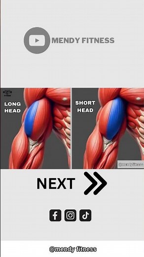 5 Dumbbell Exercises for BIGGER Biceps (MUST TRY!)