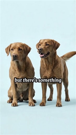 Part 2 What Really Happens When You Clone Your Dog? 🐶🧬#DogCloning #Cloning #ScienceFacts #DNA