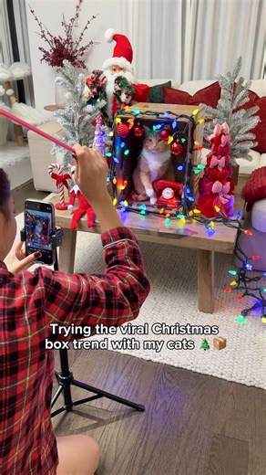 This is your sign to try the viral Christmas box trend!