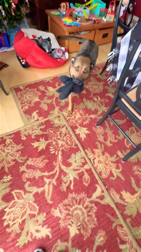 Rocking around the dinner table