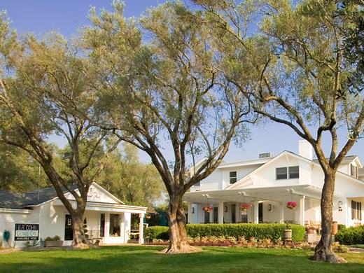 B.R. Cohn Winery & Olive Oil Company - Sonoma County Tourism