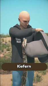 Safely catching a python, head first in the pouch 🐍💨