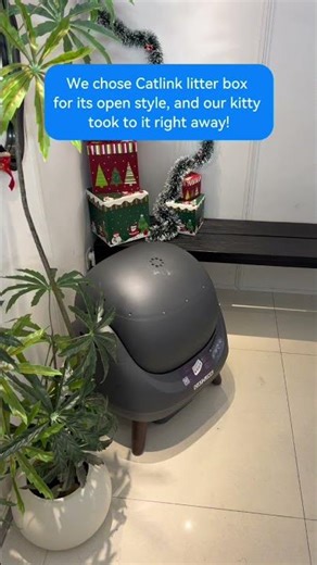 My Friend Shows Me How She NEVER Scoops Cat Poop #openx