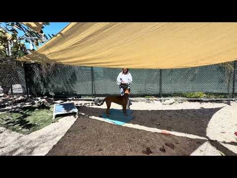 2026 02 24 Hot Zone 1 Harmony and Luna