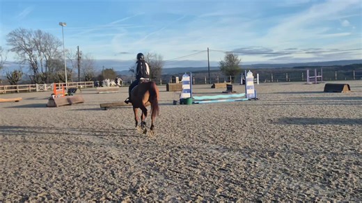 Leçon parfaite rien a dire ! merci Nina de m'avoir fait découvrir le cross pour la 2ieme fois ! Merci a toi d’être la notre histoire commence réellement je sais que ça sera pas pour toujours mais je vais profite de chaque instant avec toi ! #Nina #coupdecoeur #cross #obstacle