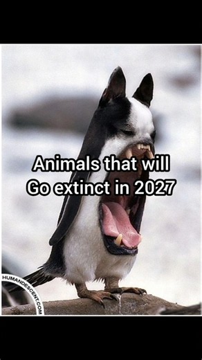 animals that will go extinct in 2027 #memes #funny #trend #sad #animals #fake #comedy #extinction