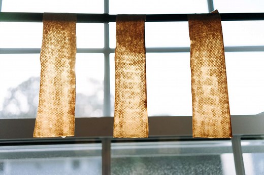 How to Make Your Own Fly Paper