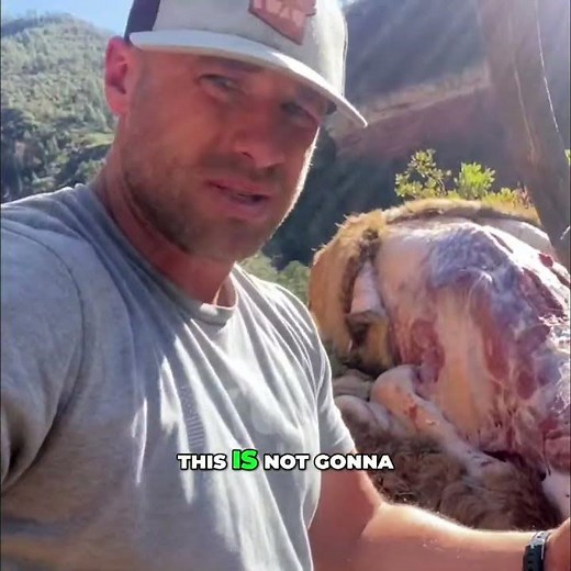 Elk Carcass Field Dressing: Hunting Tips!