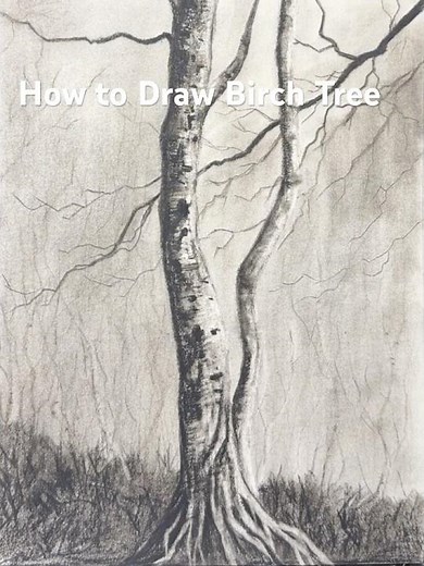 Birch tree landscape drawing for beginners by pencil| Easy Charcoal pencil art & drawing tutorial