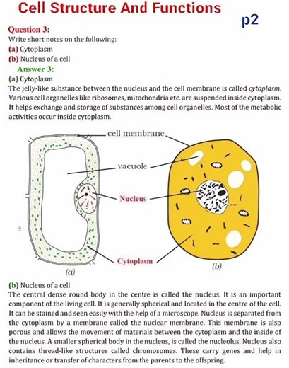 8th Class Science Lesson: "Cell Structure And Functions" Textbook Questions And Answers