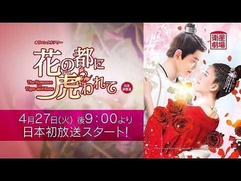 ＜衛星劇場2021年04月＞中国ドラマ 時代劇 『花の都に虎（とら）われて～The Romance of Tiger and Rose～』 日本初放送 60秒予告