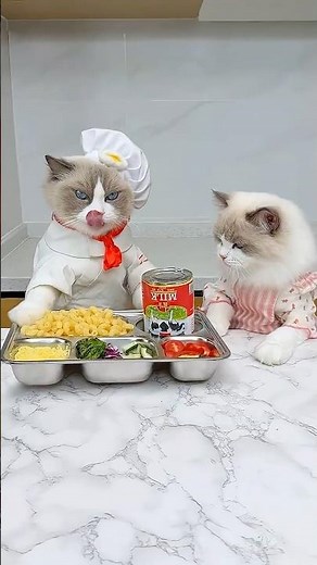 Mac & Cheese! #thatlittlepuff