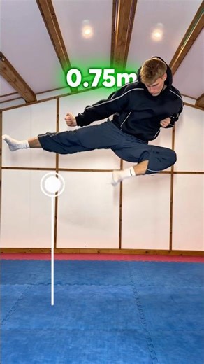 Flying side kick CHALLENGE