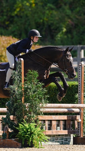 Addy Schiff was in her winning era at Old Salem September ✨ She topped the USEF Pony Medal with Daventry’s Davinci 🥇 and took a win in the Children’s Hunters with Continue 🥇 Great job, Addy! 👏 🎥: @catiestaszakmediainc #HeritageFarm | Heritage Farm