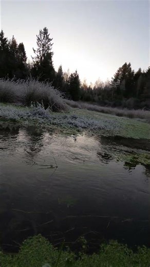 over the water by the stream #asmr #hiking #naturelovers #shorts