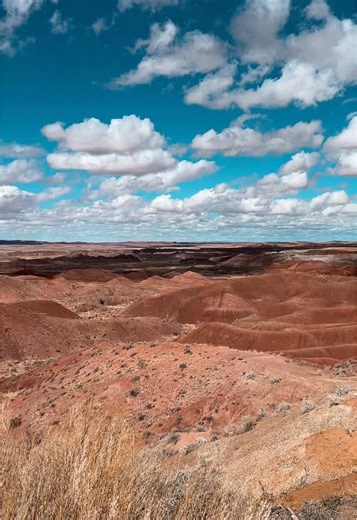 As Princess Tiana said, “I’m almost there!” I’m knocking on the border of California today! #homeless #nomad #chronicillness #pots #carlife #vanlife #vlog #depression #disability #roadtrip