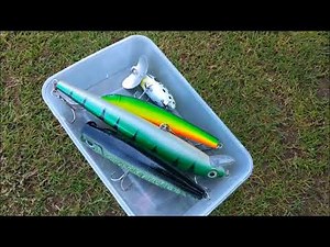 Lure fishing for pike on the Norfolk Broads - Salhouse Broad