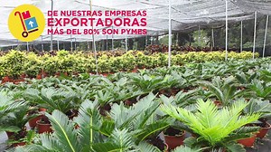 255K views · 2.6K reactions | ¡Los ticos y las ticas tenemos mucho que contarle al mundo! Sé parte de este proyecto país y pongamos a Costa Rica en alto. #esencialCR | Esencial COSTA RICA | Facebook