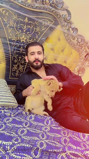 Team Russia Pet Lover TikTok Compilation