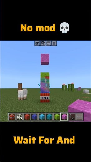 Minecraft No Mod #shorts