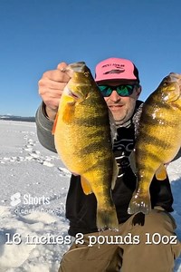 The largest perch ever filmed? | Idaho Master Angler