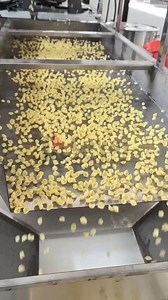 🐚 Watch shell-shaped macaroni being formed in real time! This test run highlights our pasta machine producing perfectly defined shell macaroni, with smooth surfaces, uniform thickness, and stable output from start to finish. Thanks to precision-engineered molds and reliable extrusion control, every shell comes out crisp in shape and consistent in size — ideal for sauces, fillings, and premium pasta products. From trial to large-scale production, this machine proves its flexibility, efficiency, 
