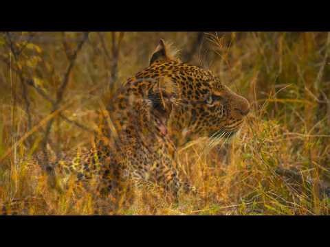 The Most Amazning Stunning 16K Video ULTRA HD _ 16K HDR 120fps Dolby Vision