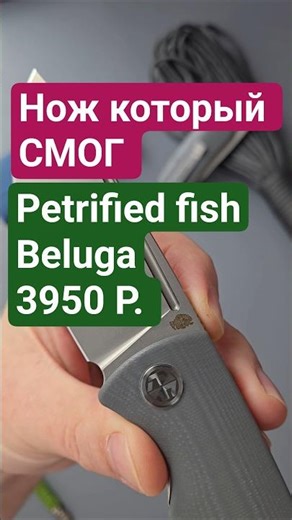 Petrified Fish Beluga Folding Knife #edc #petrifiedfish #knife #review