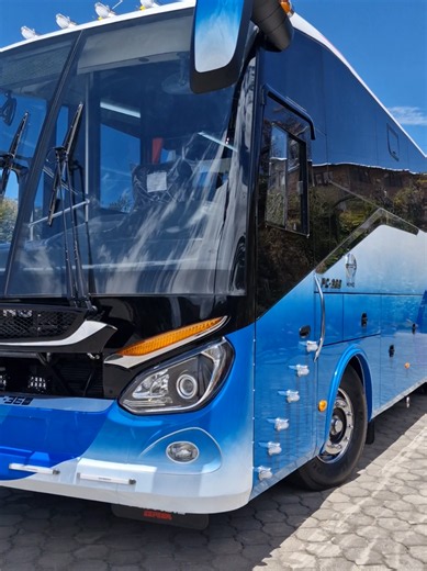 Decorar bus Hino AK PC-360 San Pedrito: guía y ideas