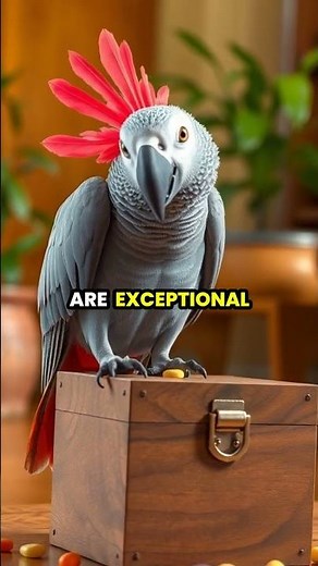 The Incredible Intelligence of African Grey Parrots 🦜💡
