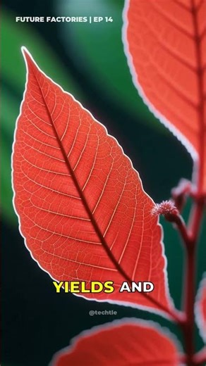 Vertical Farming Revolution LEDBased Photobiology