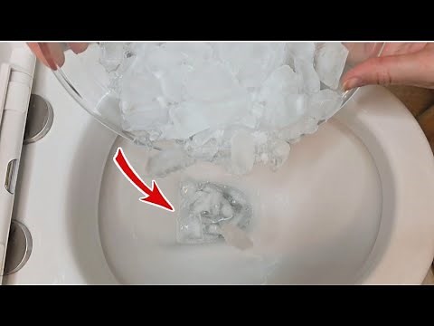 Throwing ice cubes in the toilet 🤔 Why has this strange trick become so popular?