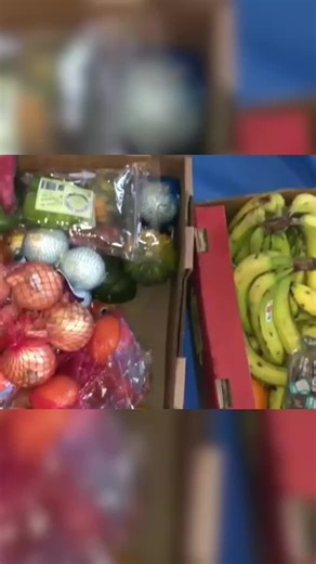 Amazing Dumpster Diving Finds in the UK
