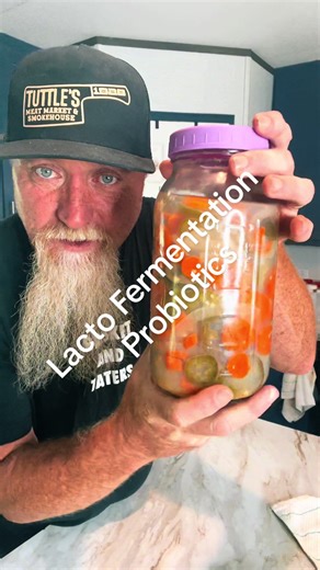 Lacto Fermentation Probiotics for Healthy Living