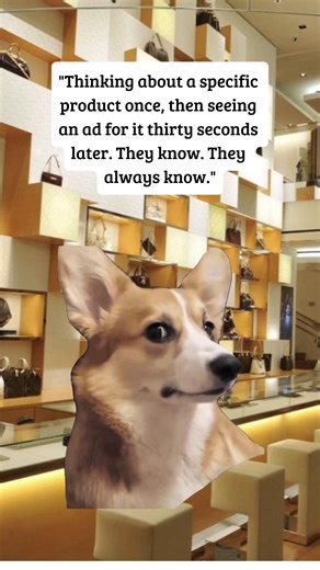 The algorithm always know #Meme #MemeCut #algorithm